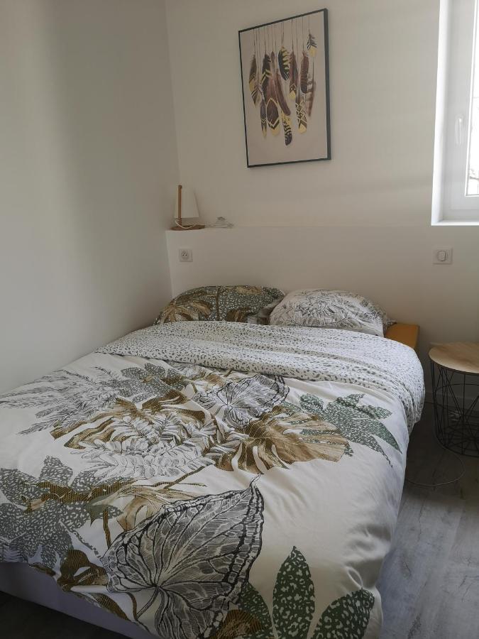 T3 avec salle de bain privative par chambre Agen Extérieur photo